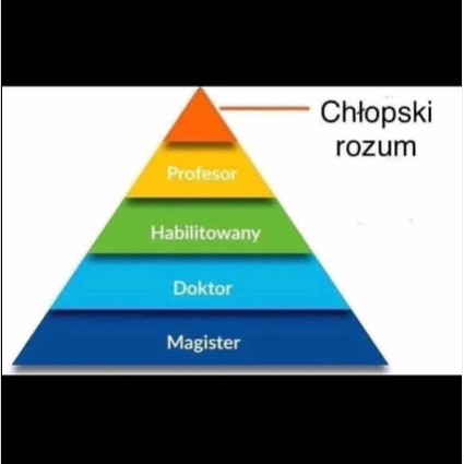 Chłopski rozum