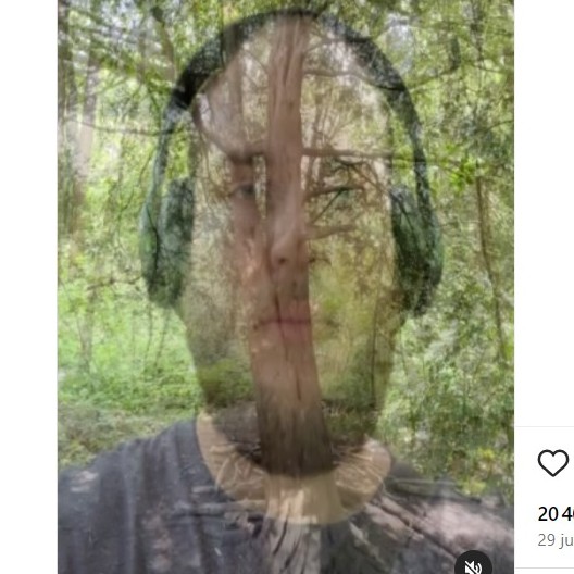 Drzewo