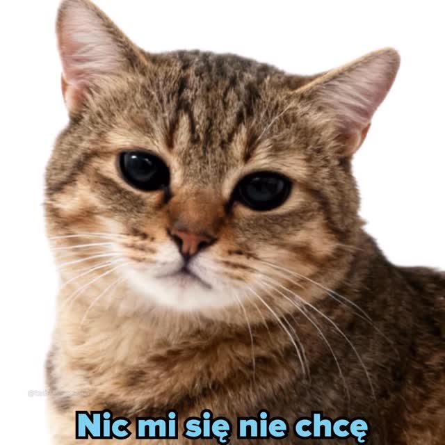 Nic mi się nie chce