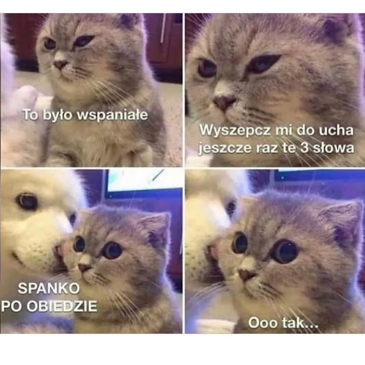 Trzy słowa