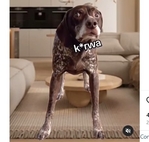 Dzień